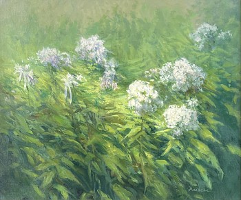 Pamela Pindell - Pamela Pindell Garden Phlox