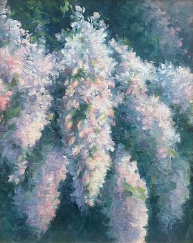 Pamela Pindell - Pamela Pindell Cinco De Mayo, Boston Garden