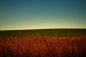 Debranne Cingari - Debranne Cingari Beneath the Horizons Breath