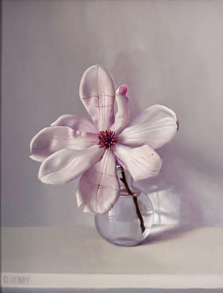 David Henry, White Magnolia, 2025
oil on birch panel, 10 x 8 in. (25.4 x 20.3 cm)
DH250903