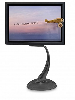 Debranne Cingari - Debranne Cingari Elevated Gossip