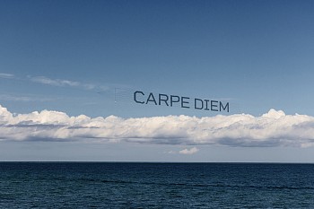Work:&nbsp;Debranne Cingari Carpe Diem, Ed. 1/25