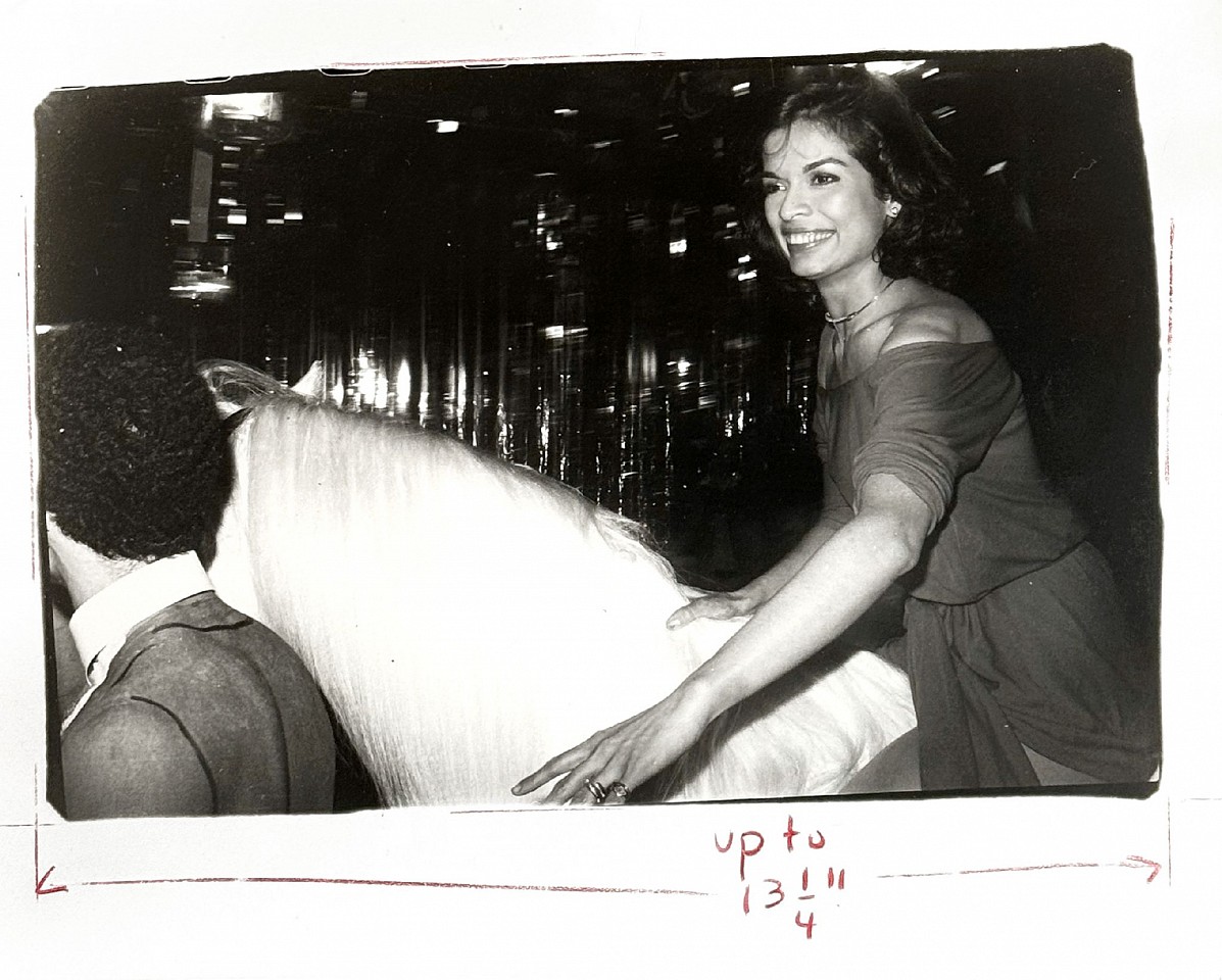 Andy Warhol, Bianca Jagger on Horseback, Studio 54, 1977
gelatin silver print, 8 x 10 in. (20.3 x 25.4 cm)
AW210601