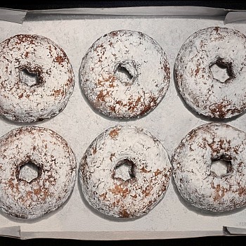 Artist:&nbsp;Robert E. Zappalorti