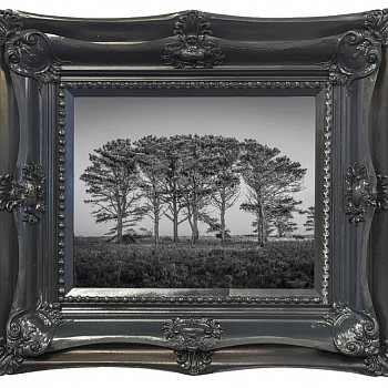 photography:&nbsp;Debranne Cingari Rooted Together
