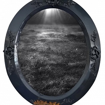 photography:&nbsp;Debranne Cingari The Awakening