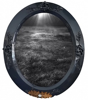 Debranne Cingari -&nbsp;Debranne Cingari The Awakening