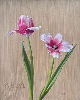 David Henry -&nbsp;David Henry Rembrandt Tulip