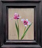 rembrandt tulip framed