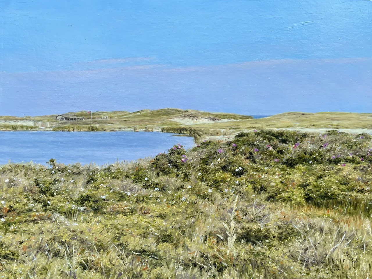 Lori Zummo, Miacomet Dunes, 2026
oil on panel, 9 x 12 in. (22.9 x 30.5 cm)
LZ260602