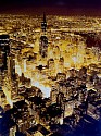 Tommaso Ottieri, New York Gold
2026, oil on board